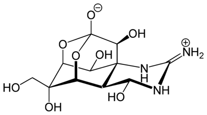 structure of tetrodotoxin